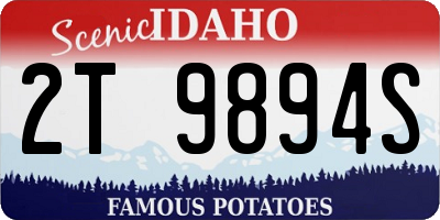 ID license plate 2T9894S