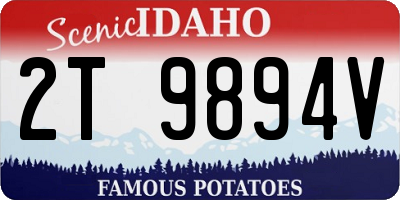 ID license plate 2T9894V