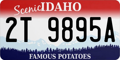 ID license plate 2T9895A