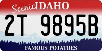 ID license plate 2T9895B