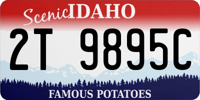 ID license plate 2T9895C