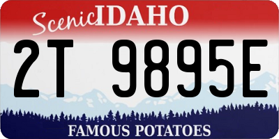 ID license plate 2T9895E