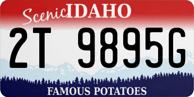 ID license plate 2T9895G