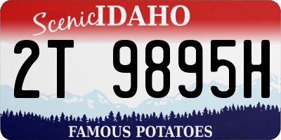 ID license plate 2T9895H