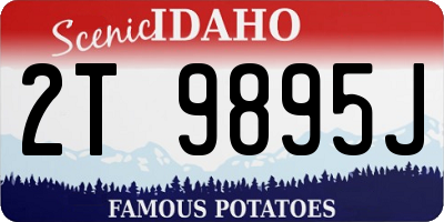 ID license plate 2T9895J