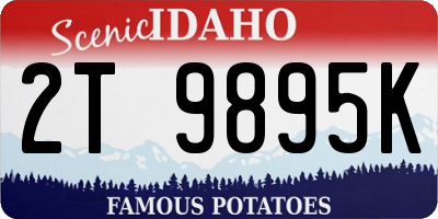 ID license plate 2T9895K