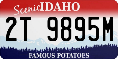 ID license plate 2T9895M