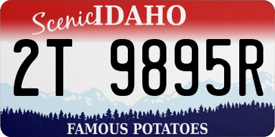 ID license plate 2T9895R