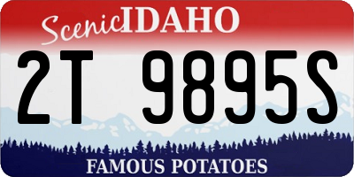 ID license plate 2T9895S