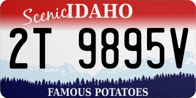 ID license plate 2T9895V