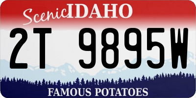 ID license plate 2T9895W