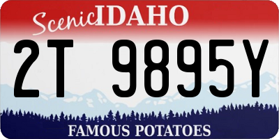 ID license plate 2T9895Y