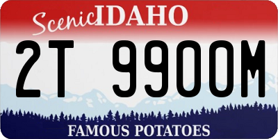 ID license plate 2T9900M