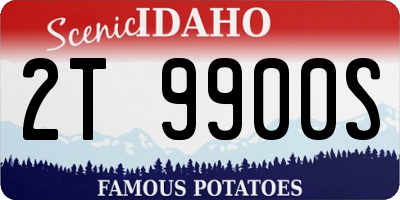 ID license plate 2T9900S