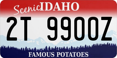 ID license plate 2T9900Z