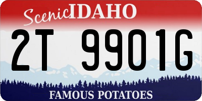 ID license plate 2T9901G