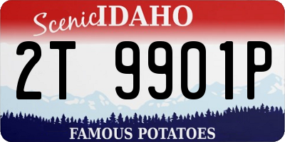 ID license plate 2T9901P