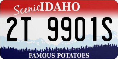 ID license plate 2T9901S