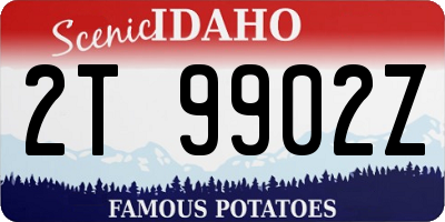 ID license plate 2T9902Z