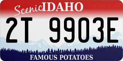 ID license plate 2T9903E