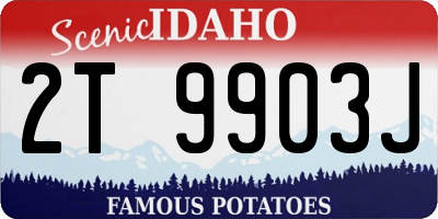 ID license plate 2T9903J