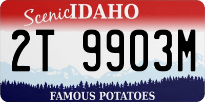 ID license plate 2T9903M