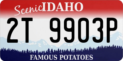 ID license plate 2T9903P