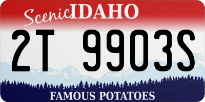 ID license plate 2T9903S