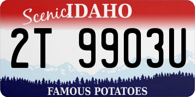 ID license plate 2T9903U