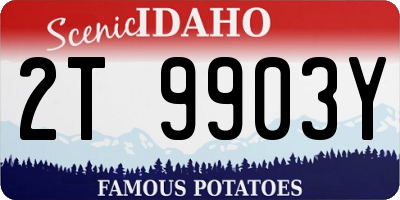 ID license plate 2T9903Y