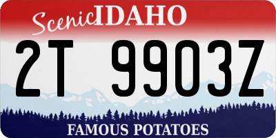 ID license plate 2T9903Z