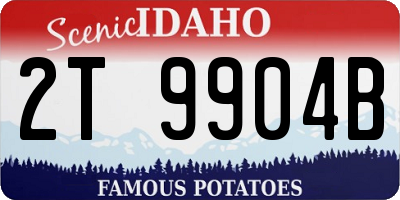 ID license plate 2T9904B