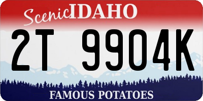 ID license plate 2T9904K