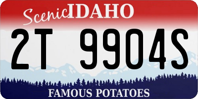 ID license plate 2T9904S