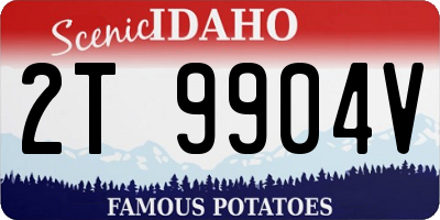 ID license plate 2T9904V