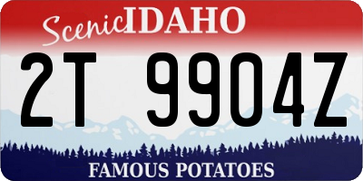 ID license plate 2T9904Z