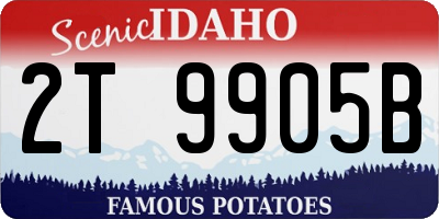 ID license plate 2T9905B