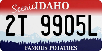 ID license plate 2T9905L