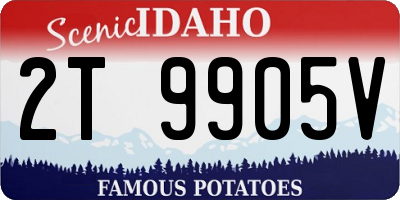 ID license plate 2T9905V