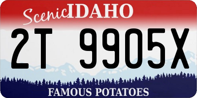 ID license plate 2T9905X