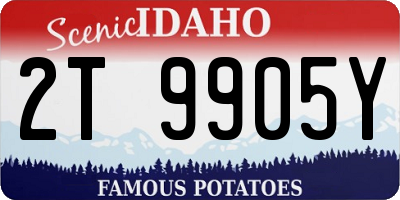 ID license plate 2T9905Y