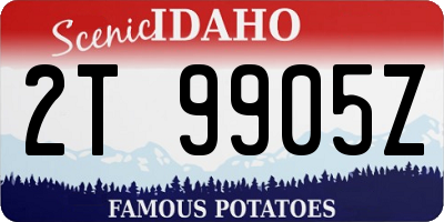 ID license plate 2T9905Z