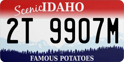 ID license plate 2T9907M