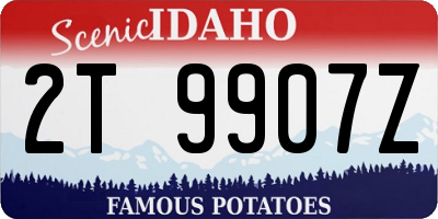 ID license plate 2T9907Z