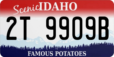 ID license plate 2T9909B