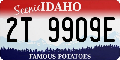 ID license plate 2T9909E