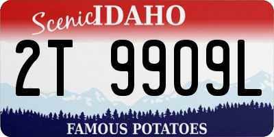 ID license plate 2T9909L