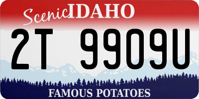 ID license plate 2T9909U