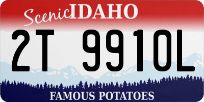 ID license plate 2T9910L