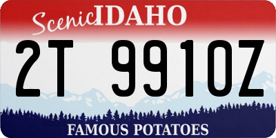 ID license plate 2T9910Z